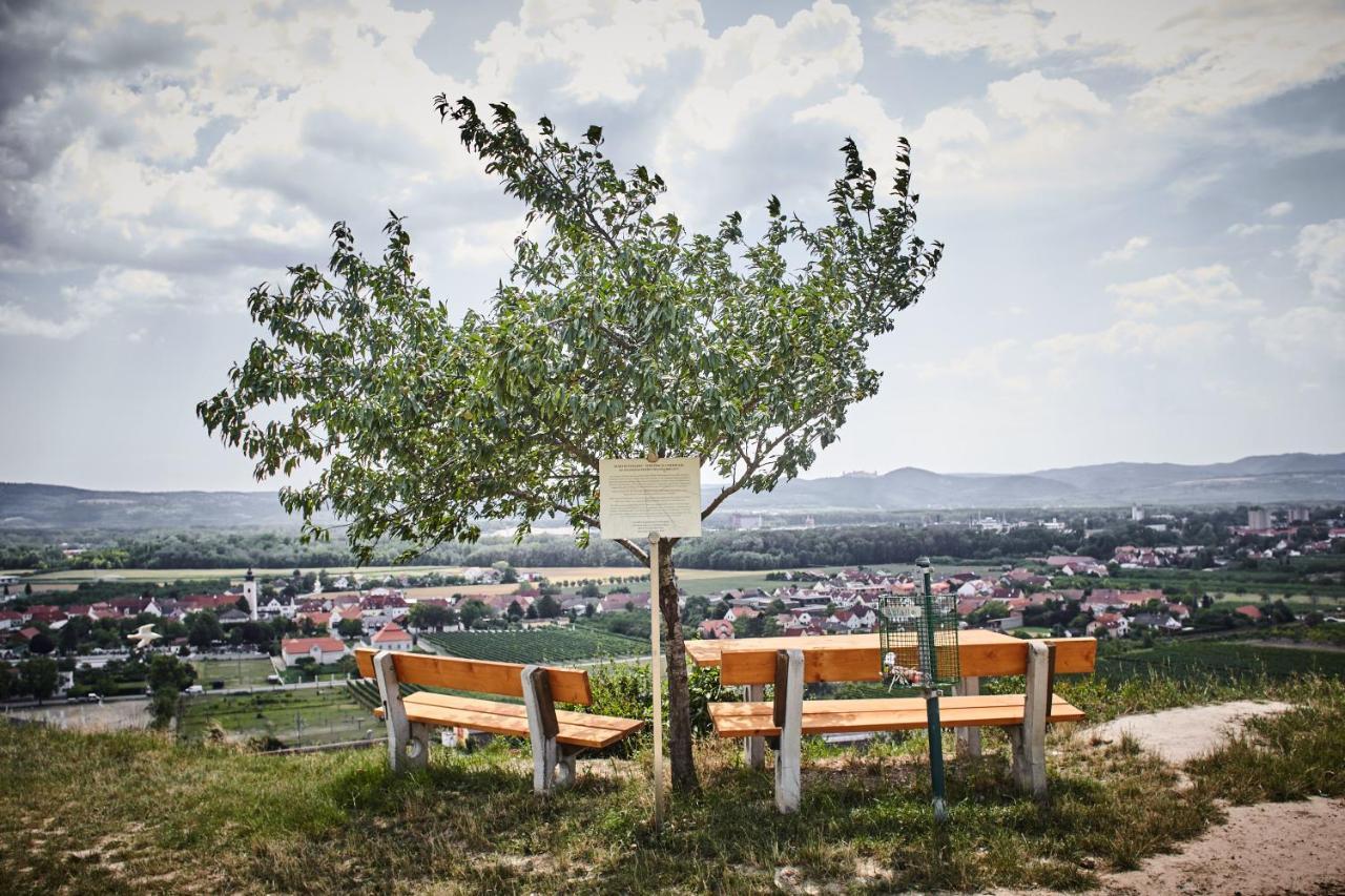 Bed and Breakfast Schmankerl Und Gast Rohrendorf bei Krems Exteriér fotografie
