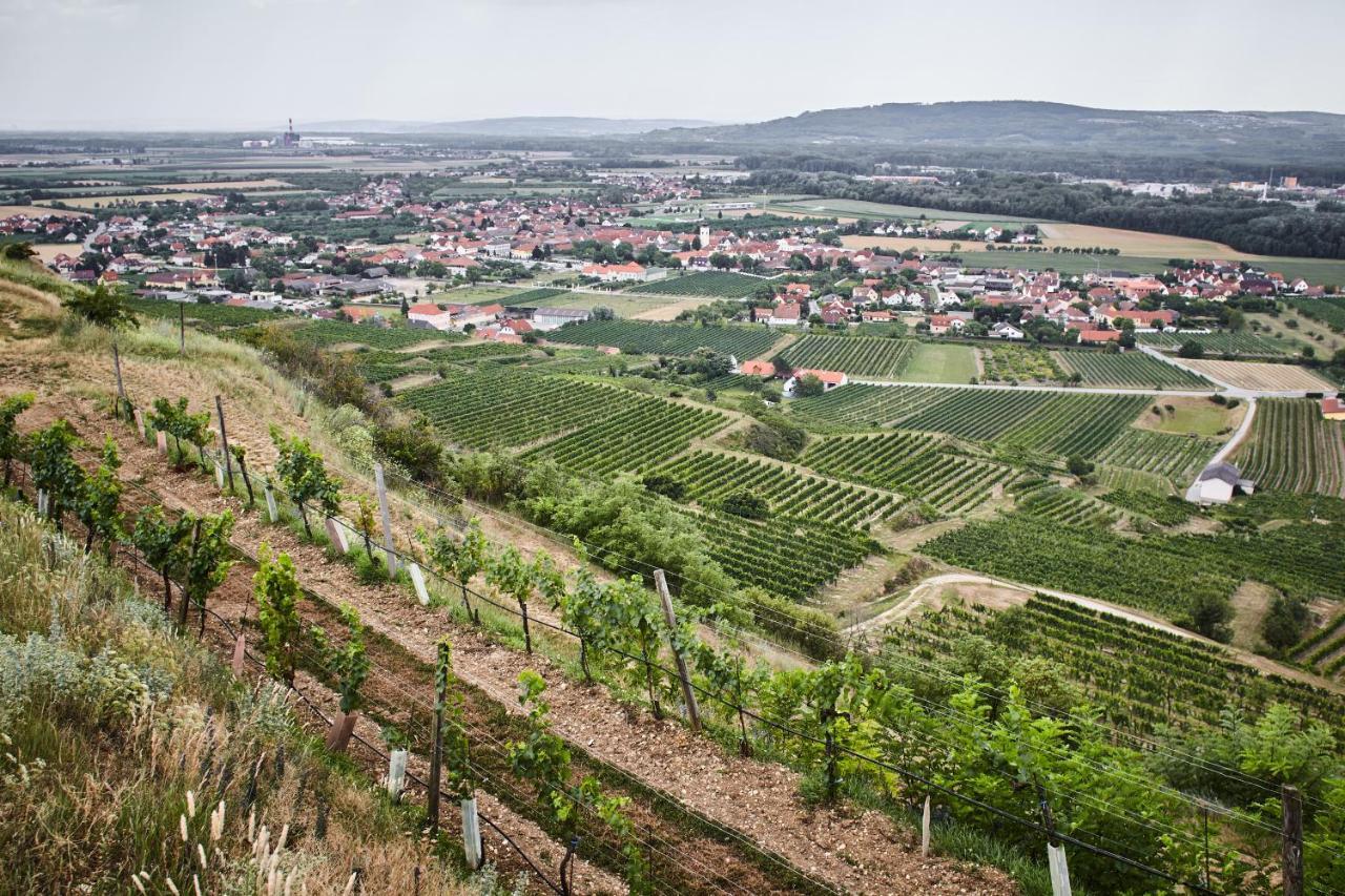 Bed and Breakfast Schmankerl Und Gast Rohrendorf bei Krems Exteriér fotografie